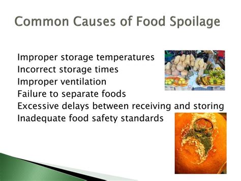 PPT - FOOD SPOILAGE AND PRESERVATION PowerPoint Presentation - ID:2005409