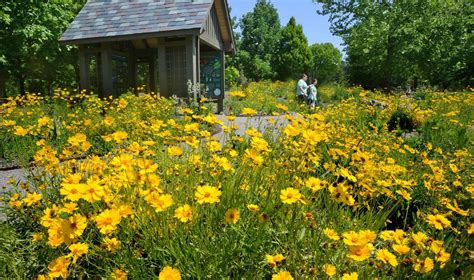 Rich Learning Experience: Arboretum’s Native Pollinator Garden ...