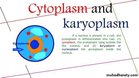 Protoplasm pptx - D. Mohammed - Muhadharaty