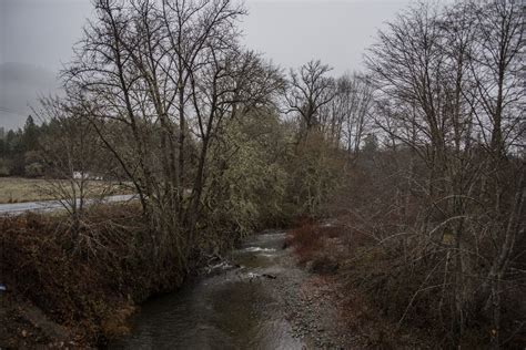 Stream Scenic Landscape Free Stock Photo - Public Domain Pictures