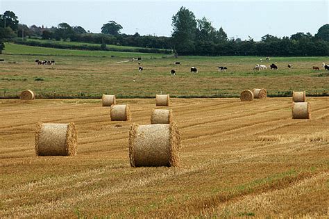 Mixed farming © Row17 cc-by-sa/2.0 :: Geograph Britain and Ireland