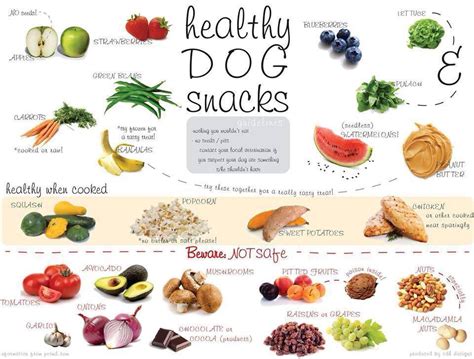 Are Fruit Snacks Safe For Dogs