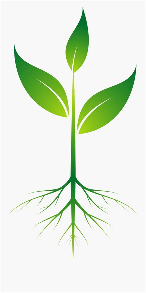 Download Root Plant Clip Art - Plant With Roots Clipart , Free Transparent Clipart - ClipartKey