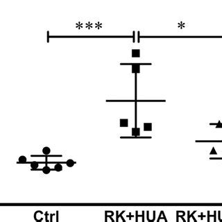 Serum uric acid levels. Serum uric acid (UA) levels were measured by ...