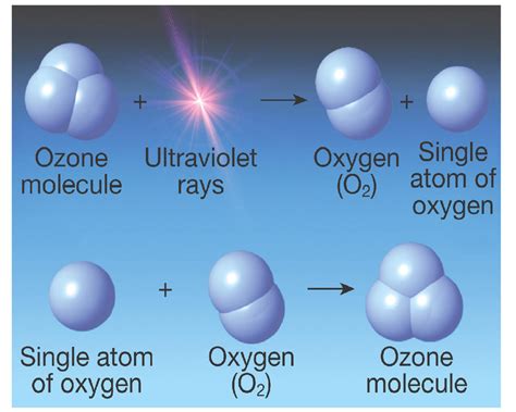 Why is the ozone layer important? | Socratic