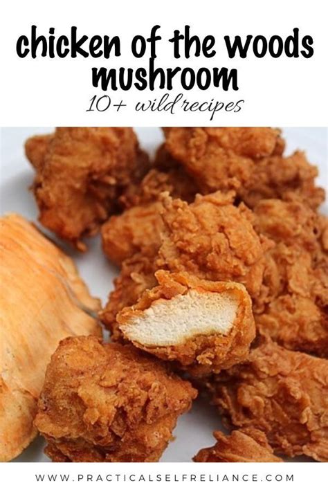 Chicken of the woods mushroom recipes – Artofit