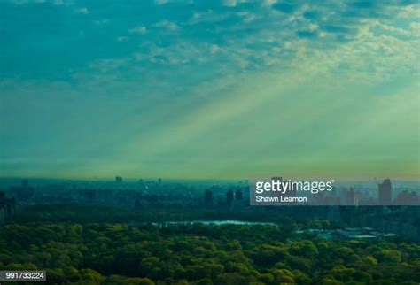 962 Sunrise In Central Park Stock Photos, High-Res Pictures, and Images - Getty Images