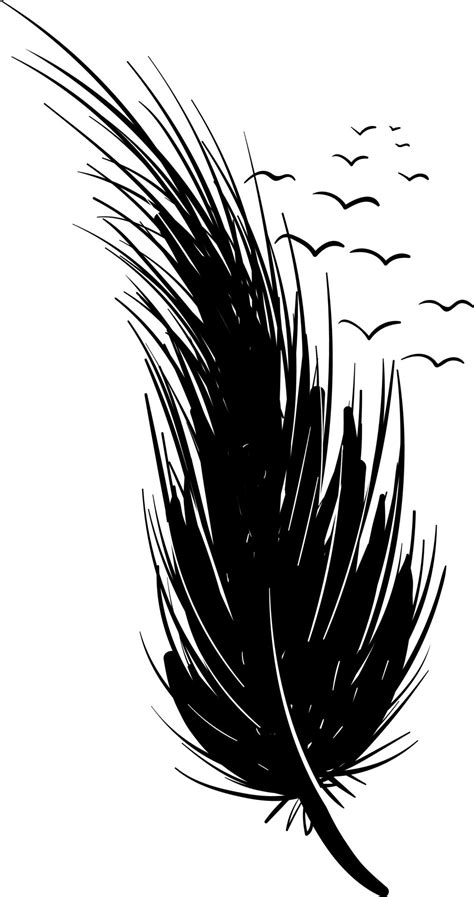 Black feather, illustration, vector on white background. 13607309 ...