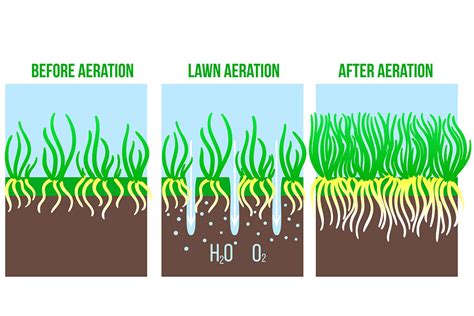 Lawn Fertilizing & Weed Control - EnviroTurf - Romeo - Washington Twp