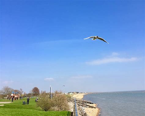 THE 15 BEST Things to Do in Southend-on-Sea (2025)