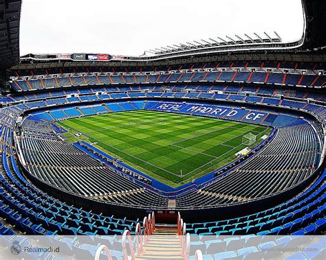 Madrid Soccer Stadium on Dog HD wallpaper | Pxfuel