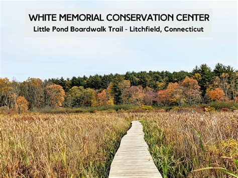 Katie Wanders : White Memorial Conservation Center - Litchfield, Connecticut