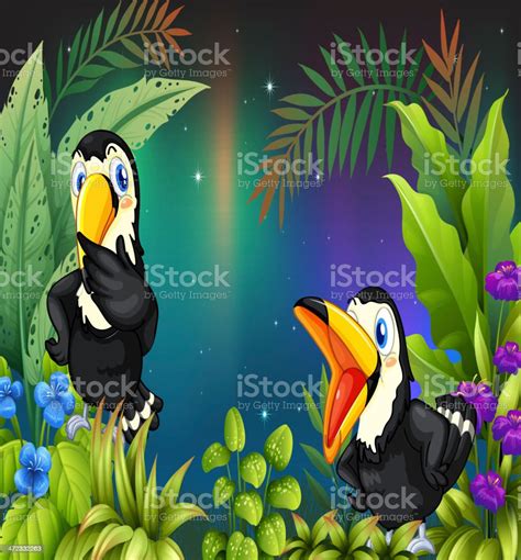 Two Birds At The Rainforest Stock Illustration - Download Image Now - Animal, Bird, Black Color ...