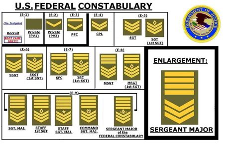 United States Police Rank Insignia