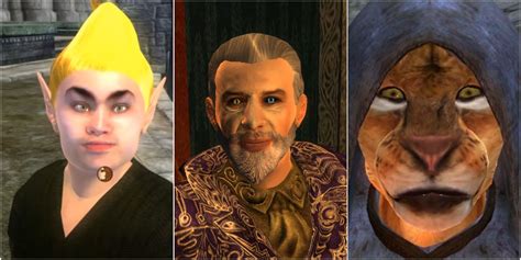 10 Weirdest NPCs In Elder Scrolls: Oblivion