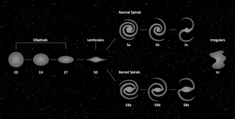 Science Diagram Drawing Software Free Download - Eicher Disentithe