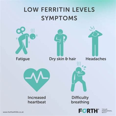 What is the difference between ferritin and iron? - Forth