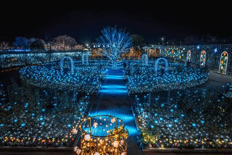 Ashikaga Flower Park Winter Illumination | Best Flower Site