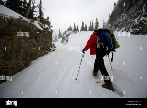 A man snowshoeing in Rocky Mountain National Park, CO Stock Photo - Alamy