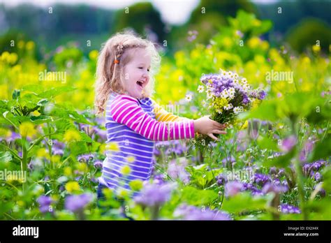 Child picking wild flowers in field. Kids play in a meadow and pick ...