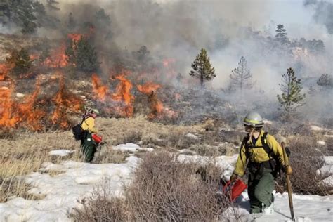 As U.S. insurers stop covering prescribed burns, states and communities ...