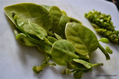 Malabar Spinach Curry (Karakali) / ಬಸಳೆ ಸೊಪ್ಪಿನ ಕರಕಲಿ | Recipe world