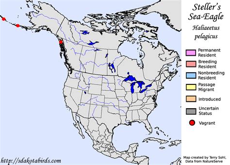 Steller's Sea-Eagle - North American Range Map