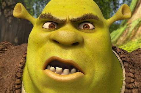 How Similar Are You To Shrek?