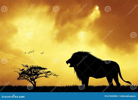 Lion silhouette at sunset stock illustration. Illustration of landscape ...