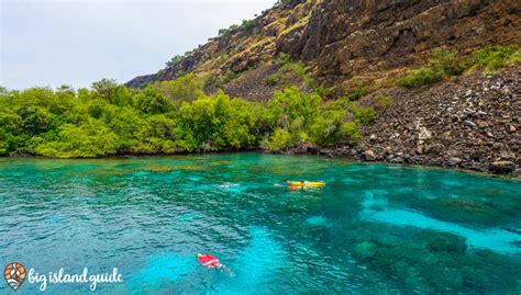 5 Spots with the Best Snorkeling on the Big Island | Big Island Guide