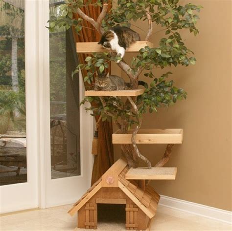 Mature Cat Tree House