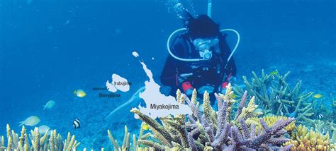 miyakojima-diving - Kansai Scene Magazine