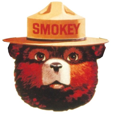 6 Things You Didn't Know About Smokey Bear