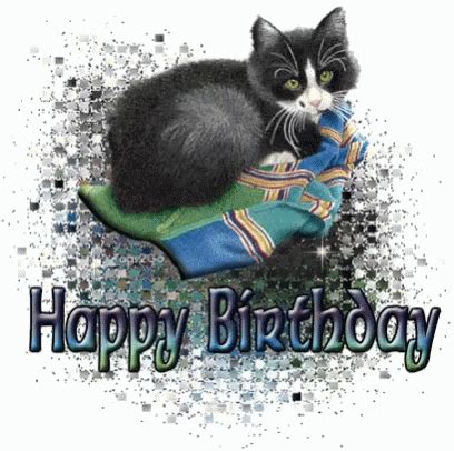 Happy Birthday Cat Glitter GIF - HappyBirthdayCat Glitter Sparkle ...