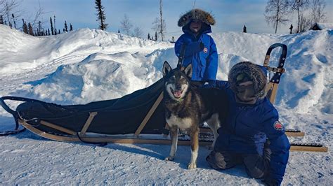 Winter Camping in Alaska with a Sled Dog Team - YouTube