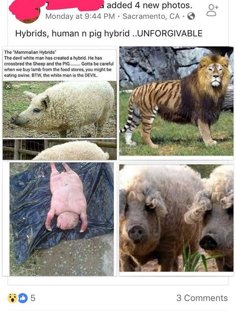 The bottom left photo is apparently a human-pig hybrid born to a sheep ...