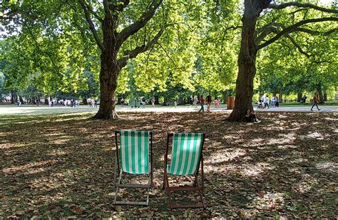 In photos: London’s Green Park turns golden brown as trees shed their ...