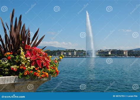 Jet D Eau Fountain in Geneva Stock Image - Image of lake, travel: 3076793