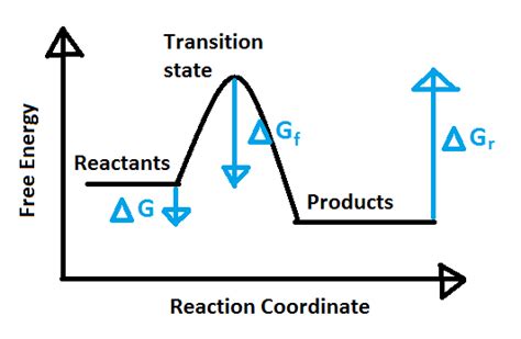 Year 11 Misadventures: Catalytic Power and Biological Efficiency