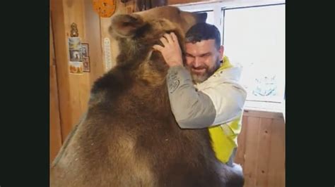 Pet bear sees human staring out of the window, ‘asks’ for a hug. Watch ...