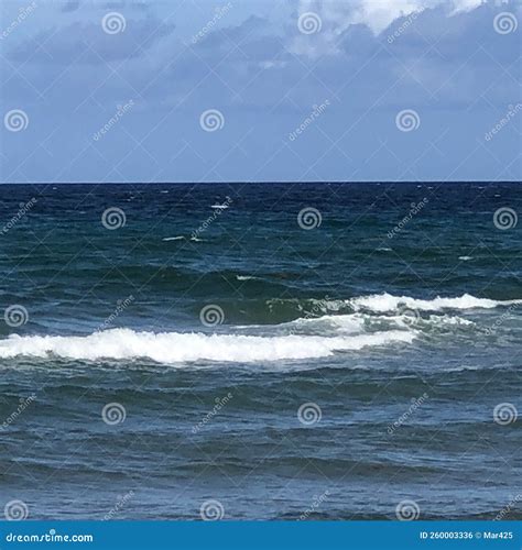 Beautiful Whitecap Waves stock photo. Image of shoreline - 260003336