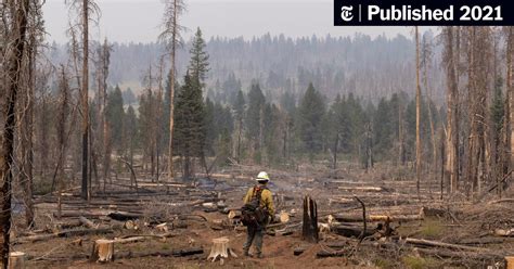 Photo From The Bootleg Fire: America's Largest Wildfire - The New York Times