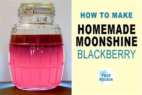 Easy Homemade Moonshine Recipe | Bryont Blog