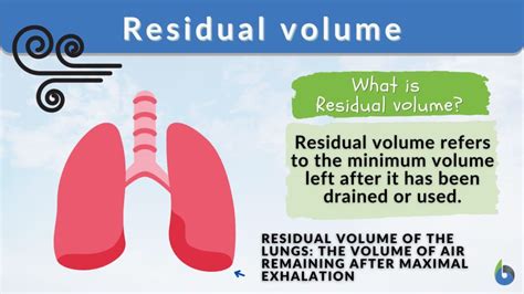 Residual volume - Definition and Examples - Biology Online Dictionary