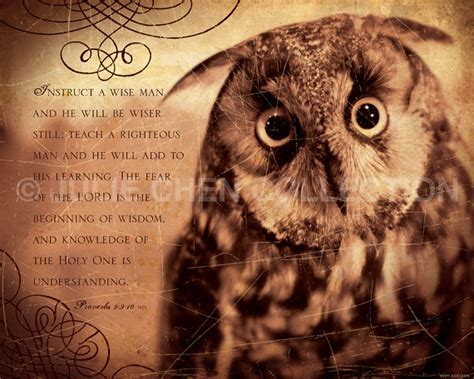 Inspirational Quotes With Owls. QuotesGram