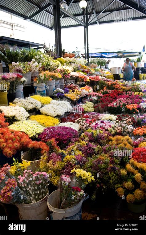 Cape Town Flower market Stock Photo - Alamy