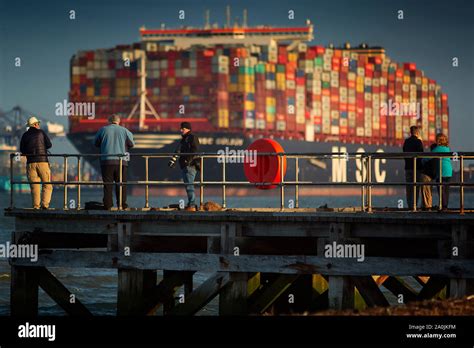 The container ship MSC Gülsün departs the port of Felixstowe, Suffolk, England Stock Photo - Alamy