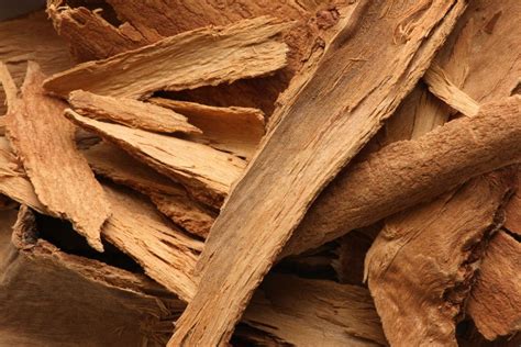 Cinnamon Bark Essential Oil Uses and Benefits