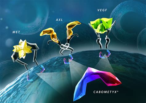 Cabometyx - Mechanism of Action on Behance