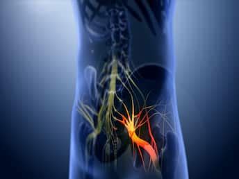 Bone, Muscle, and Pain Diseases: Symptoms, Causes, Treatment, Prevention and Diseases List